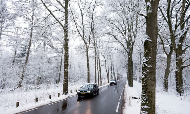 Wintry weather to hit the Netherlands this week