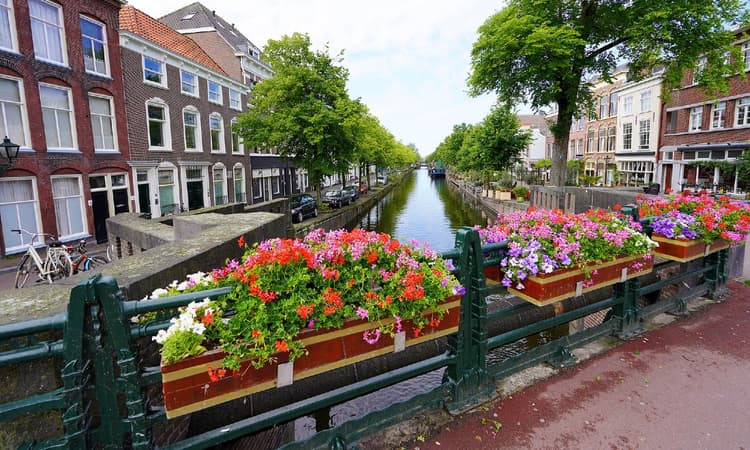 Find your dream home in Rotterdam or The Hague with WORK Makelaardij